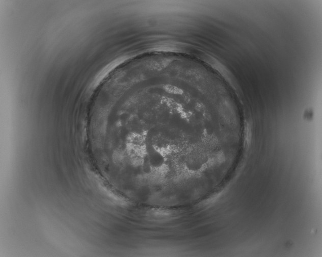 X0000110950829200907022155