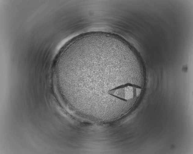 X0000110950830200907022155