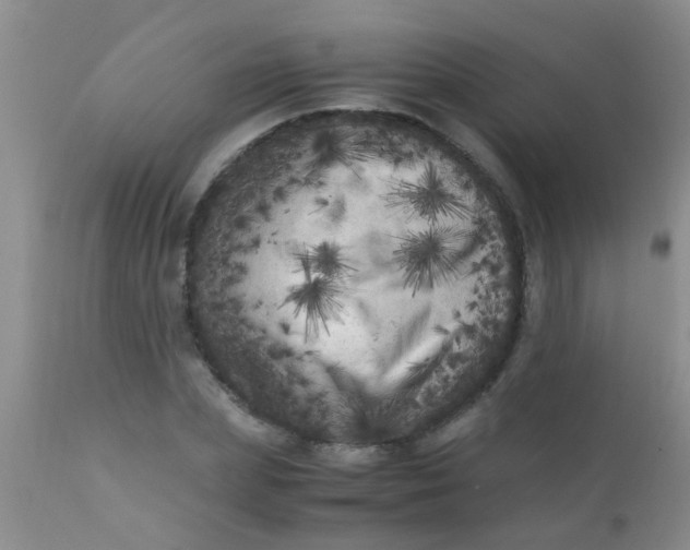 X0000110950831200907022155