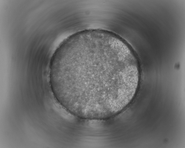 X0000110950832200907022155