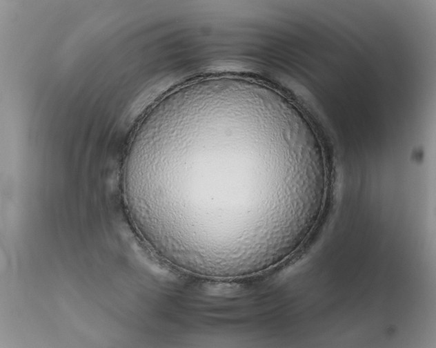 X0000110950833200907022155