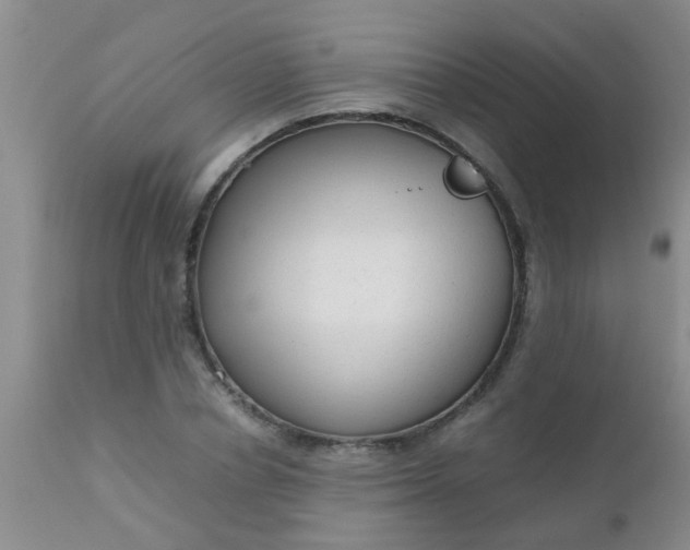 X0000110950834200907022155