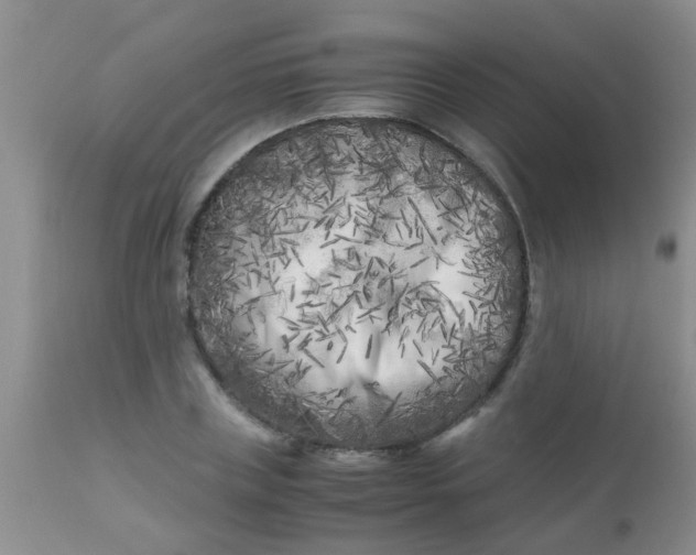 X0000110950835200907022155