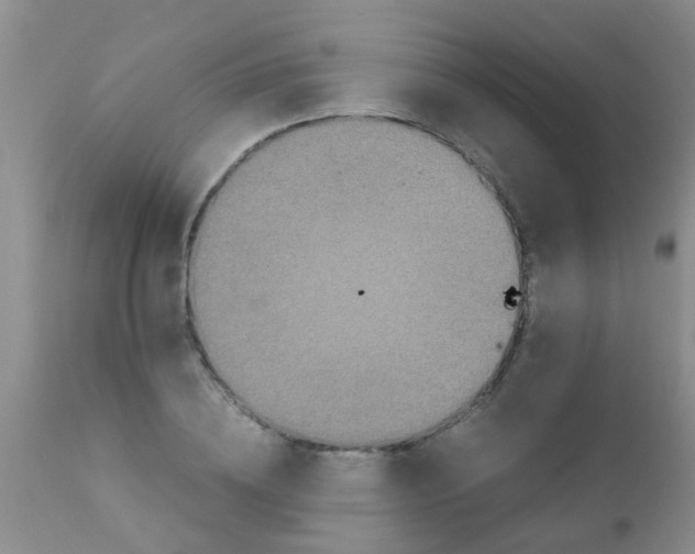 X0000110950836200907022155