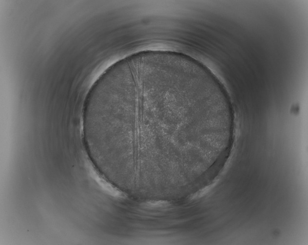 X0000110950837200907022155