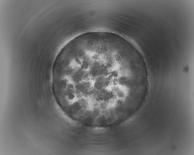 X0000110950839200907022155