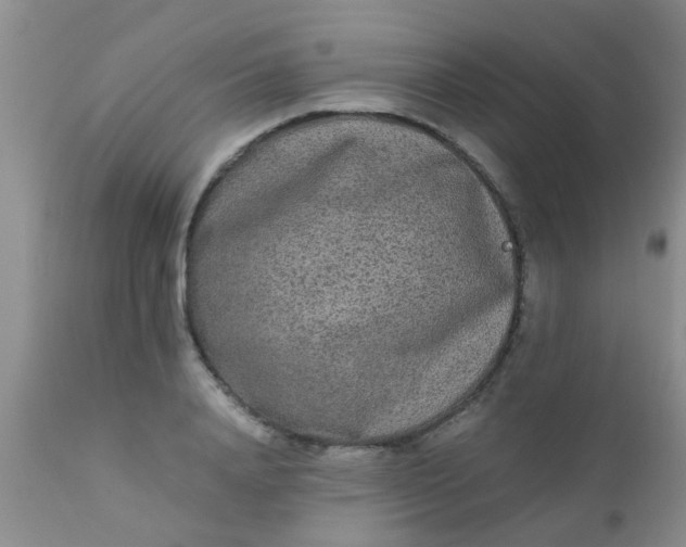 X0000110950840200907022155