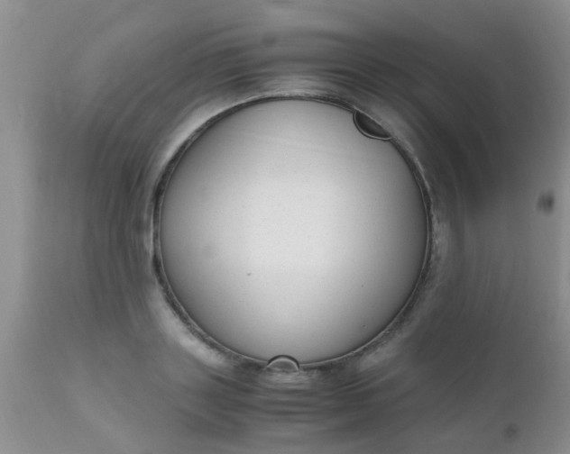 X0000110950843200907022155