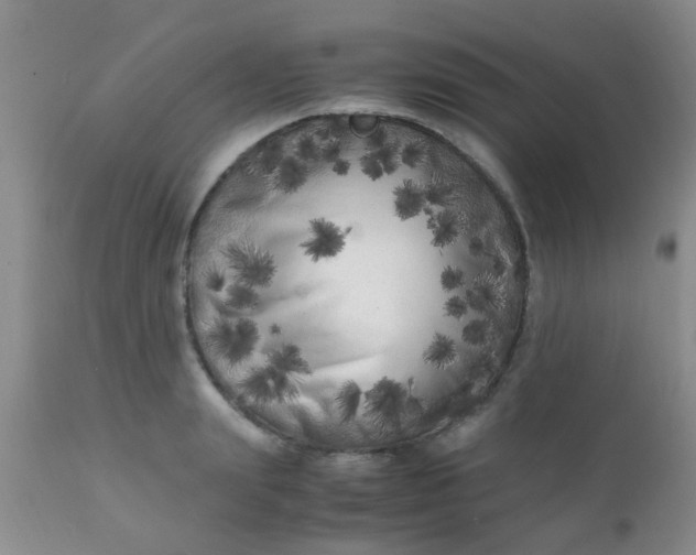 X0000110950847200907022155