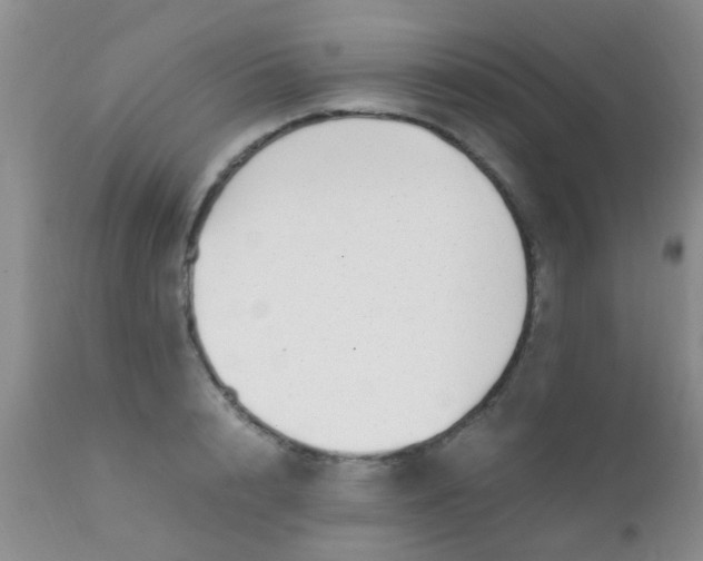 X0000110950848200907022155