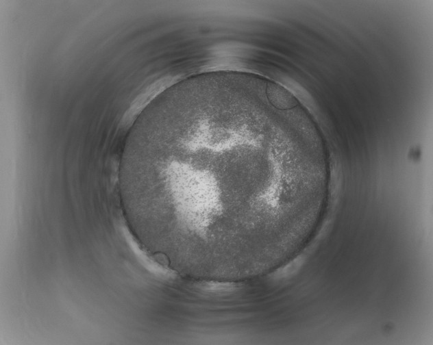 X0000110950849200907022155