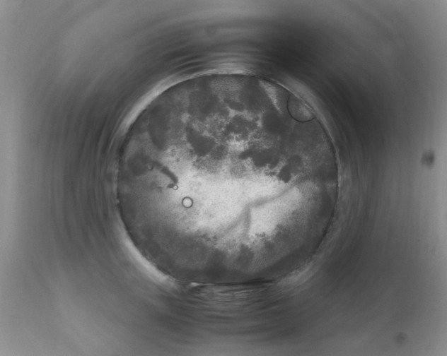 X0000110950851200907022155