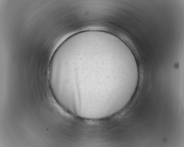 X0000110950852200907022155