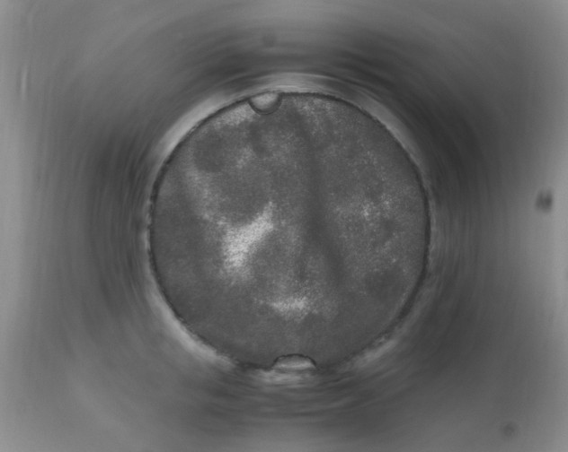 X0000110950853200907022155