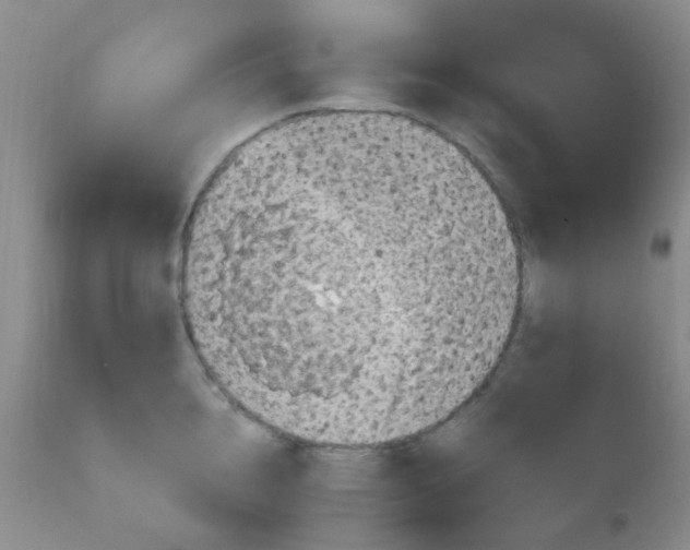 X0000110950856200907022155