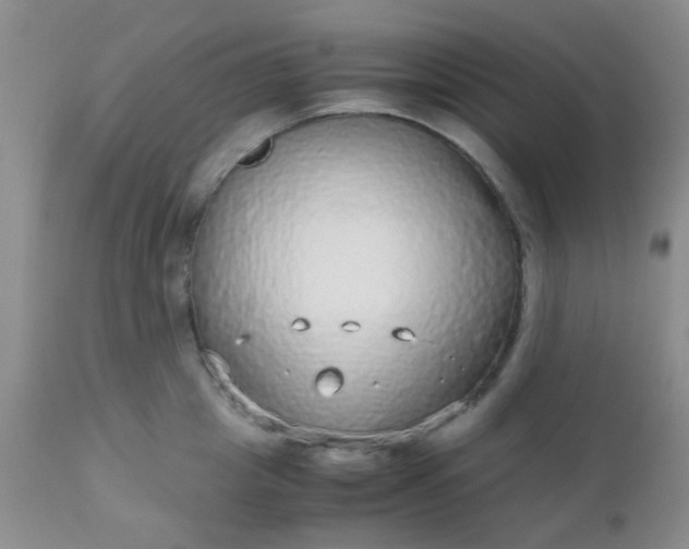 X0000110950857200907022155