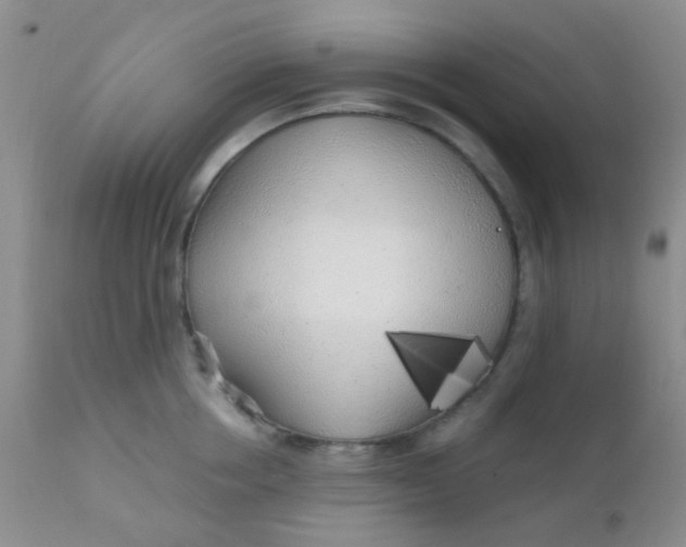 X0000110950858200907022155