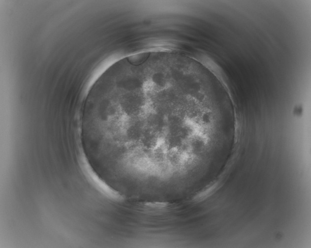 X0000110950859200907022155