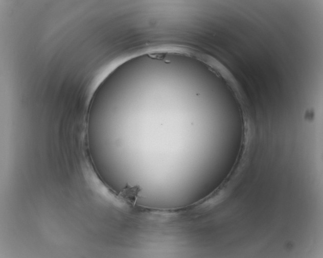 X0000110950860200907022155