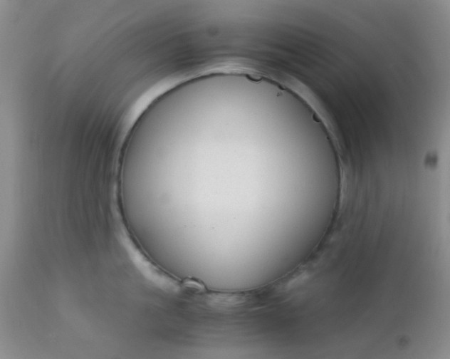 X0000110950861200907022155