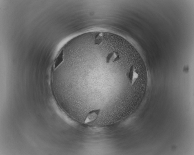 X0000110950862200907022155