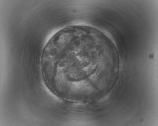 X0000110950863200907022155