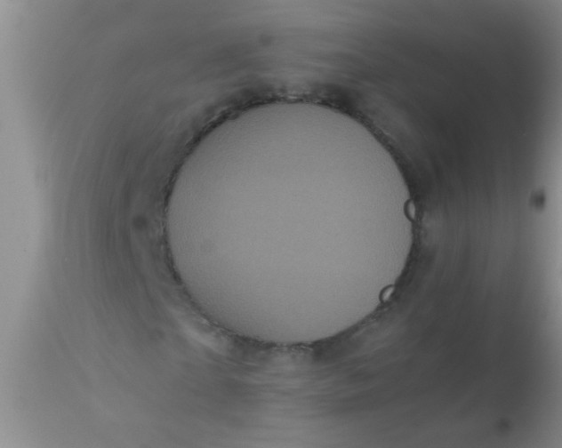 X0000110950865200907022154