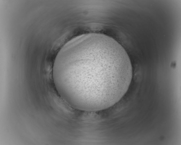 X0000110950866200907022154