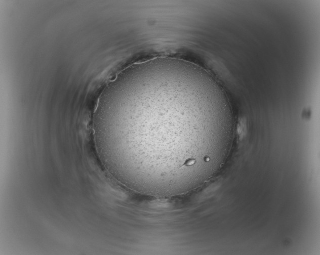 X0000110950867200907022154