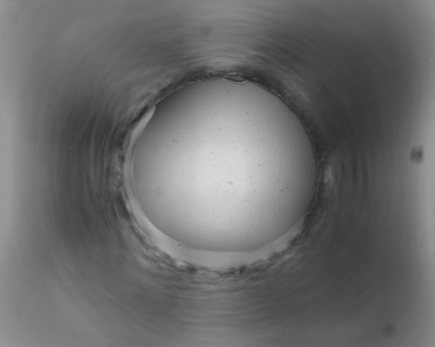 X0000110950868200907022154