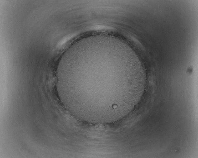 X0000110950869200907022154