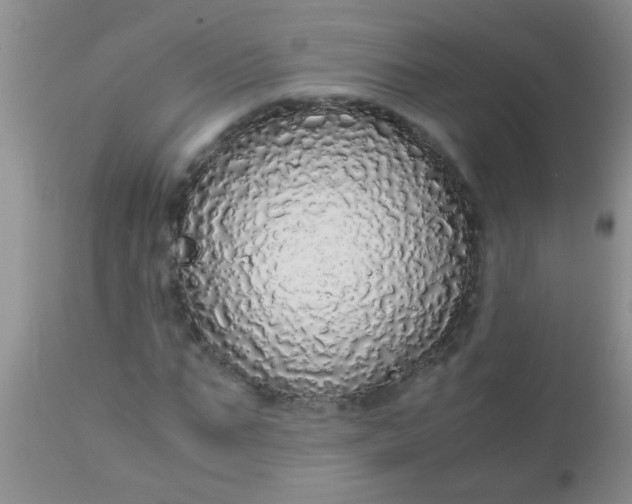 X0000110950871200907022154