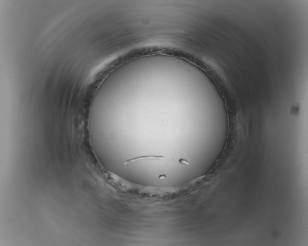 X0000110950872200907022154