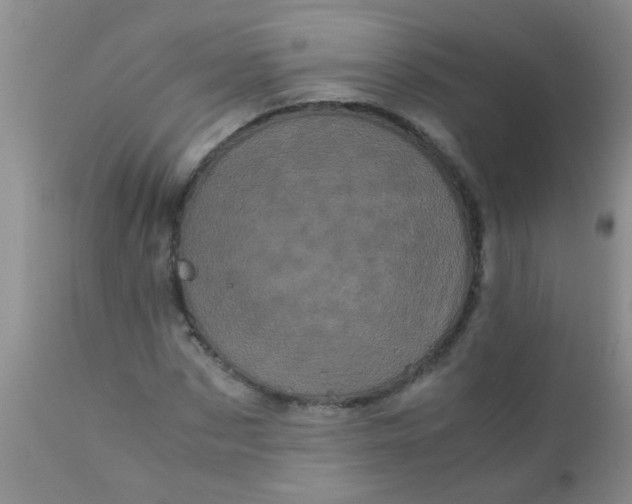 X0000110950873200907022154