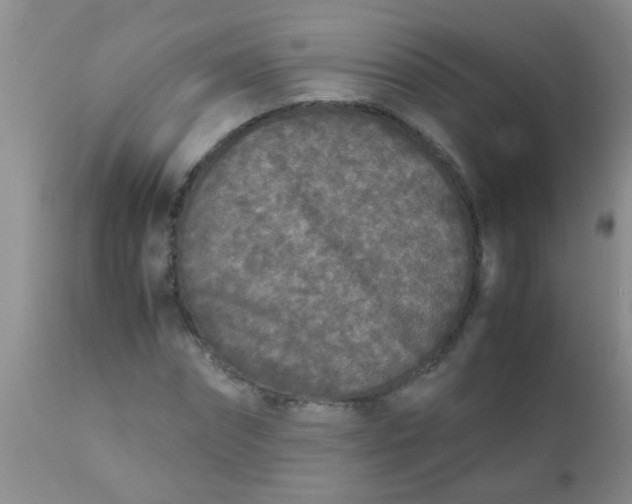 X0000110950874200907022154