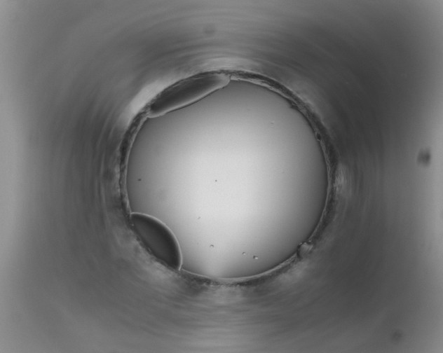 X0000110950877200907022154