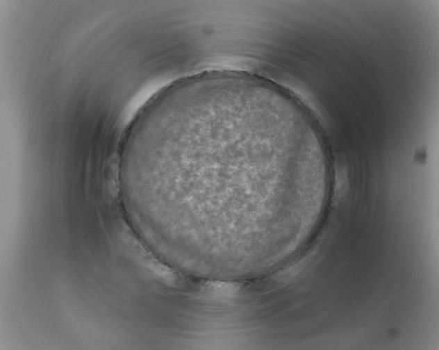 X0000110950878200907022154