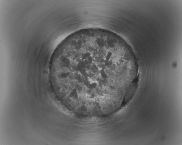 X0000110950879200907022154