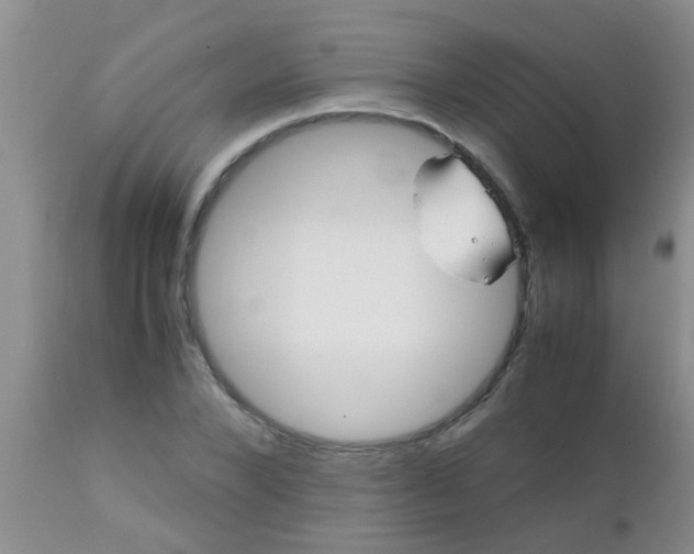 X0000110950880200907022154