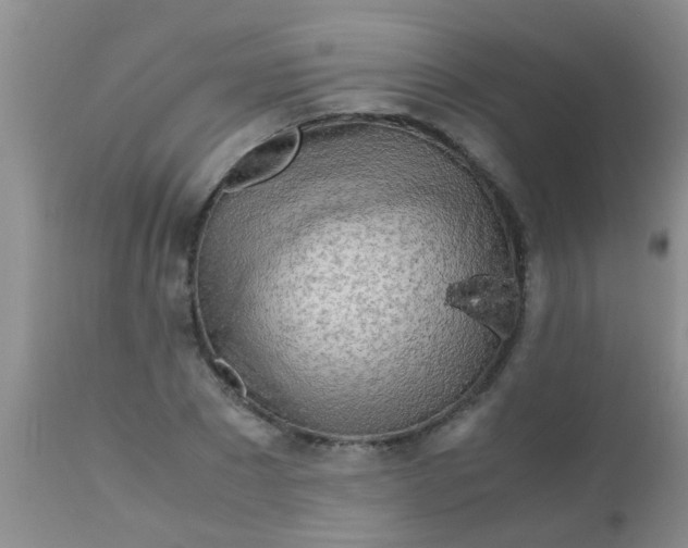 X0000110950881200907022154