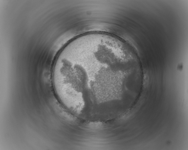 X0000110950882200907022154