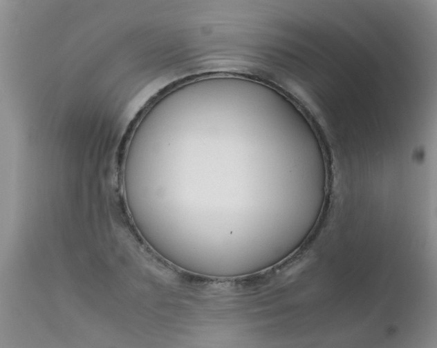 X0000110950883200907022154