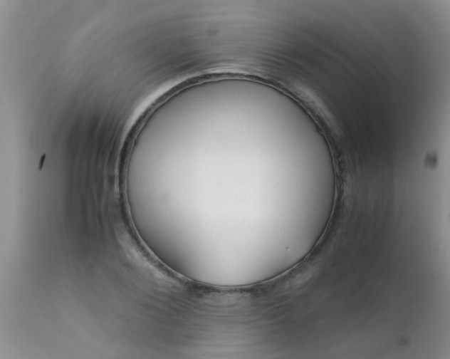 X0000110950884200907022154