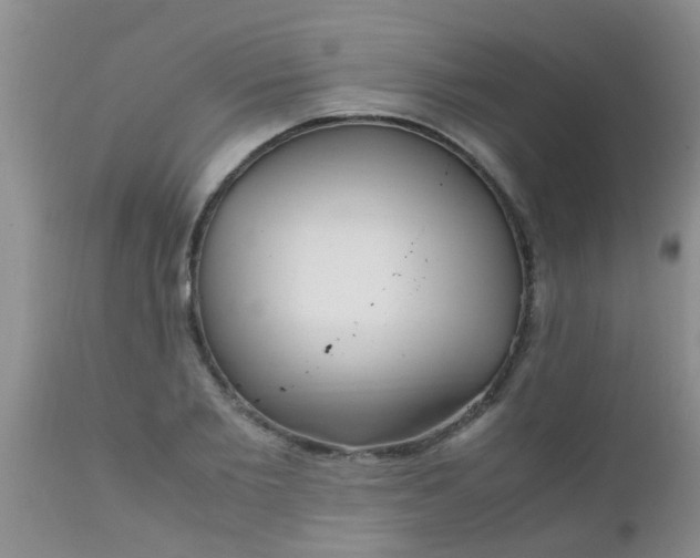 X0000110950885200907022154