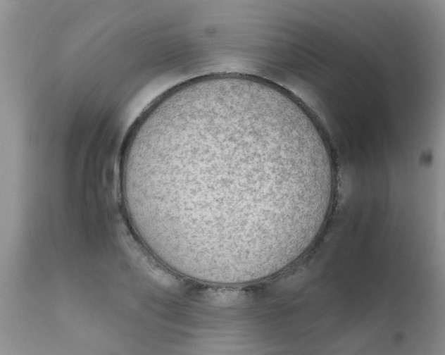 X0000110950886200907022154