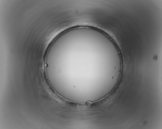 X0000110950887200907022154