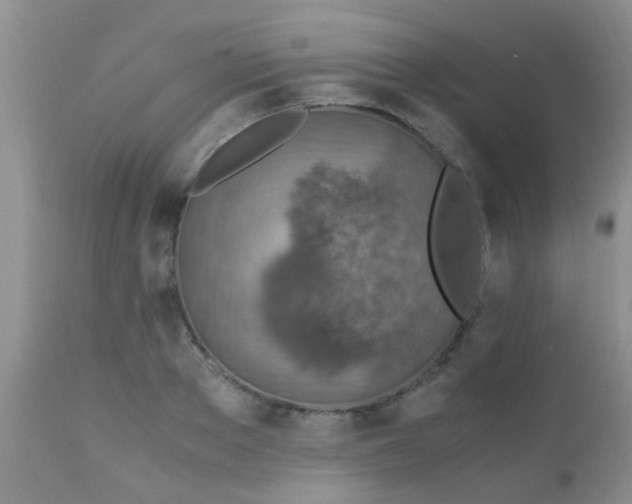 X0000110950889200907022154