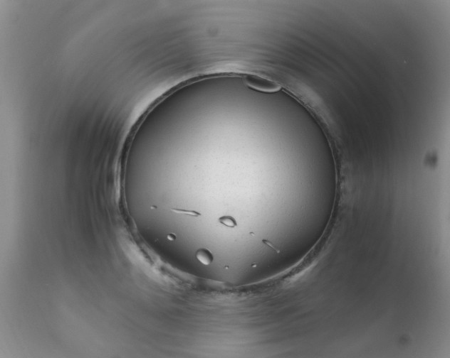 X0000110950892200907022154