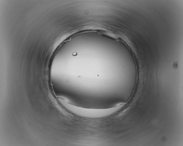 X0000110950893200907022154