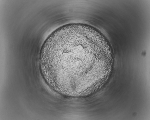 X0000110950895200907022154